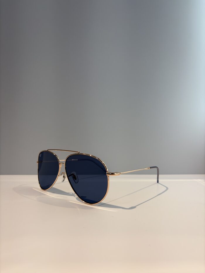 RAYBAN AVIATOR REVERSE